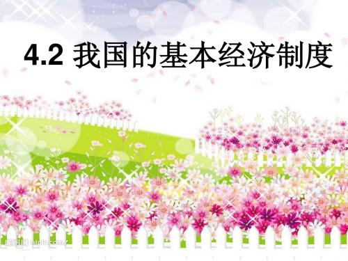 4.2我国的基本经济制度