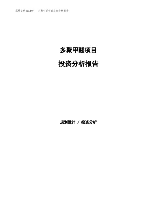 多聚甲醛项目投资分析报告