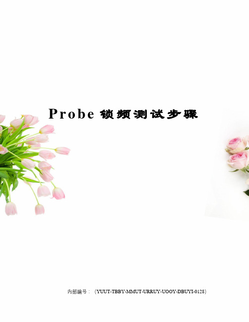 Probe锁频测试步骤
