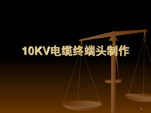 10KV电缆终端头制作工艺演示幻灯片