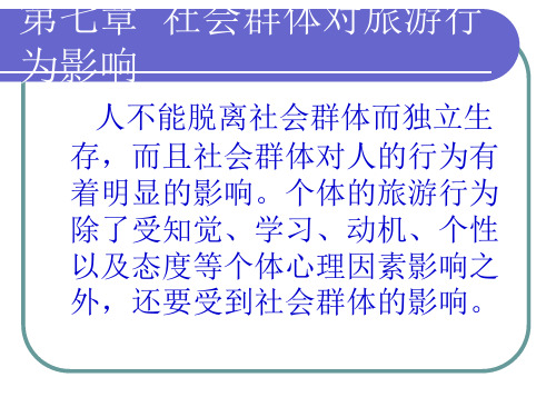 2019PPT-社会群体对旅游行为影响