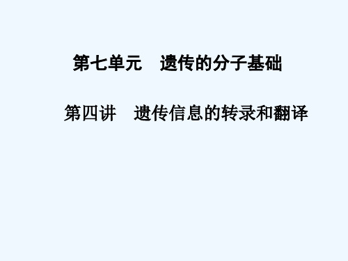 第七单元 第四讲 遗传信息的转录和翻译课件课件