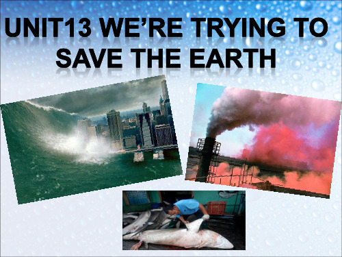 九年级英语全一册Unit13_we’re_trying_to_save_the_earth(1a--2d)ppt课件人教版