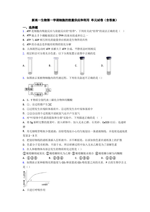 新高一生物第一学期细胞的能量供应和利用 单元试卷(含答案)