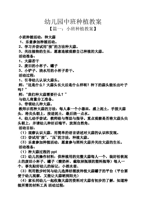 幼儿园中班种植教案