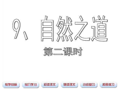 《自然之道》课件(第二课时)