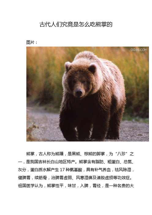 古代人们究竟是怎么吃熊掌的
