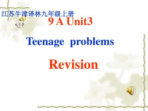 牛津译林版初三英语上册(9A)Unit3 Revision课件