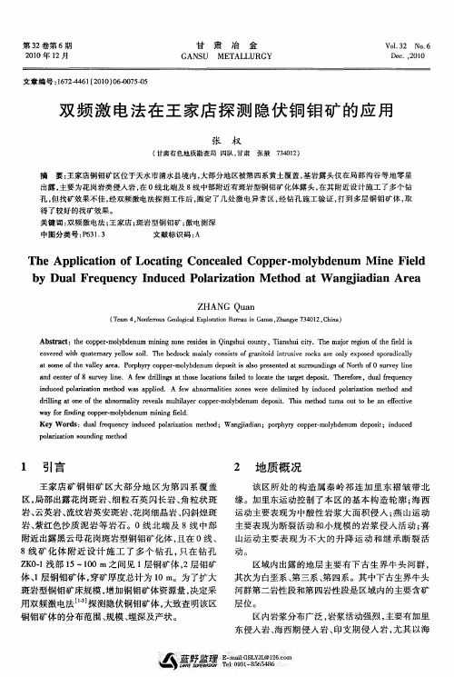 双频激电法在王家店探测隐伏铜钼矿的应用