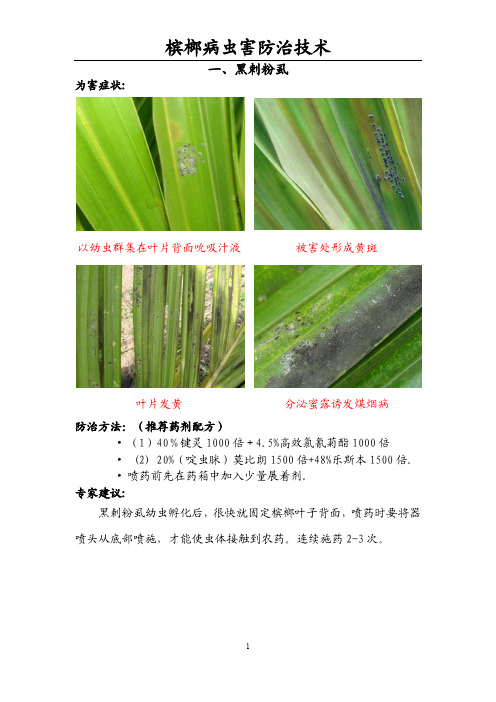 槟榔病虫害防治技术