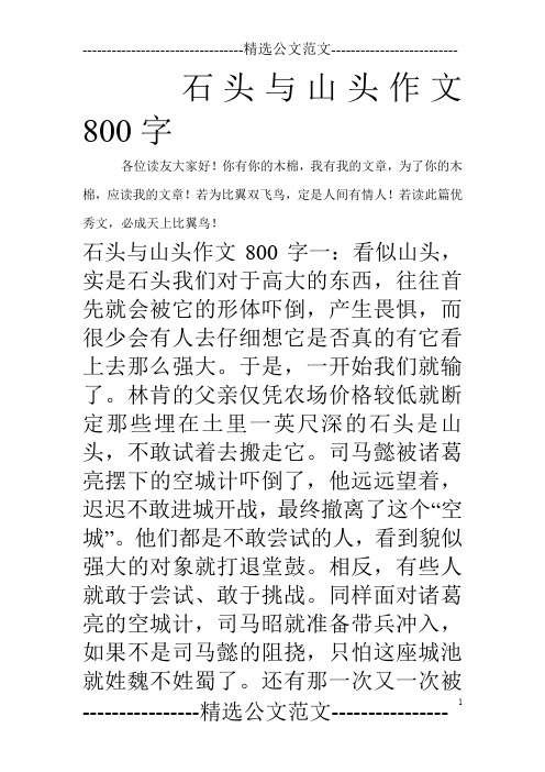 石头与山头作文800字