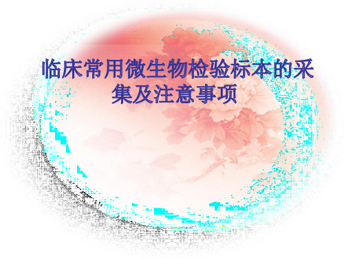 临床各种标本采集血尿痰培养