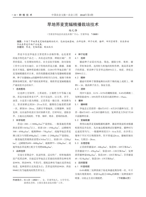 旱地荞麦宽幅精播栽培技术