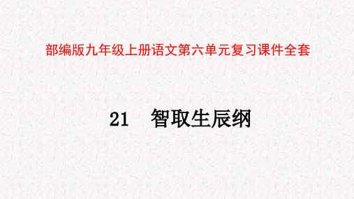 部编版九年级上册语文第六单元复习课件全套