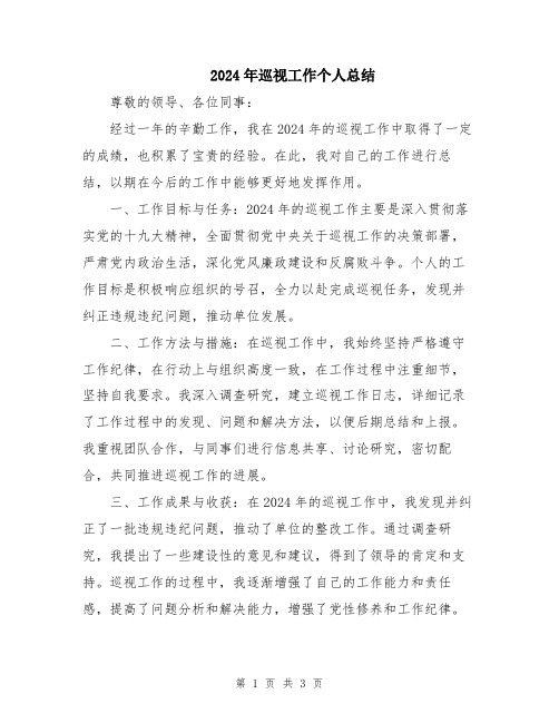 2024年巡视工作个人总结