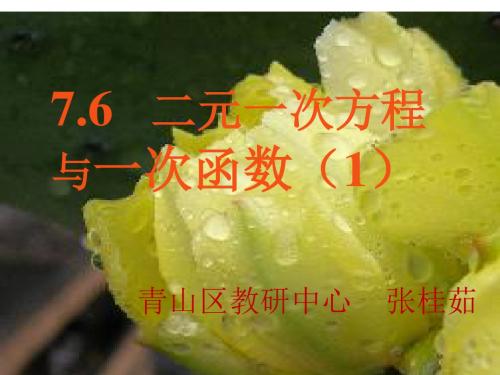 二元一次方程组与一次函数课件(张)