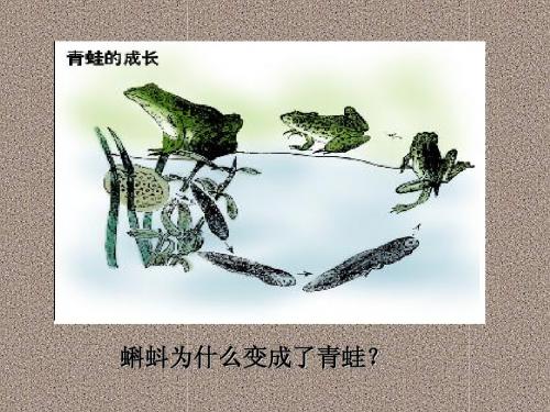 《哲学与人生》第2课(一)运动是物质的存在方式