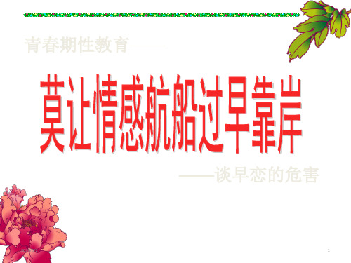 高一主题班会 爱国教育 莫让情感航船过早靠岸课件