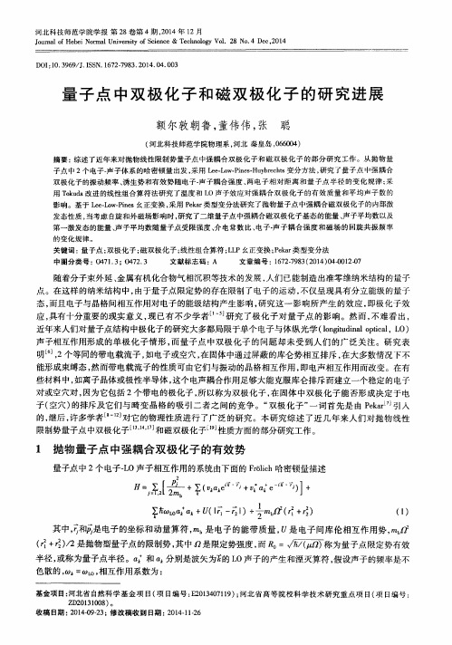 量子点中双极化子和磁双极化子的研究进展
