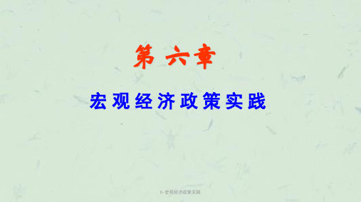 6-宏观经济政策实践课件