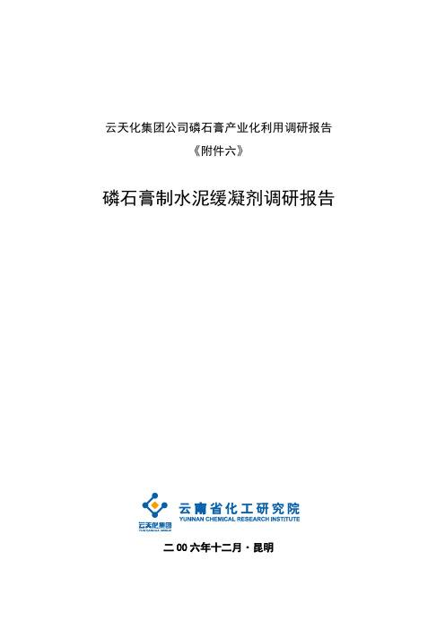 磷石膏制水泥缓凝剂报告正文(改07)