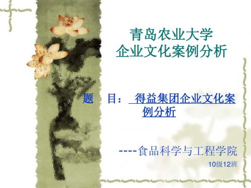 企业文化分析 (5)