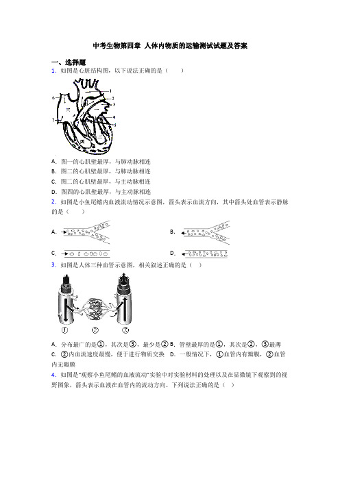 中考生物第四章 人体内物质的运输测试试题及答案