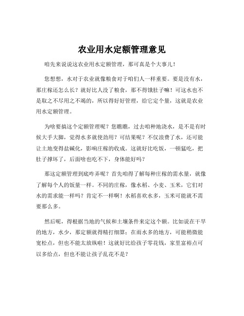农业用水定额管理意见