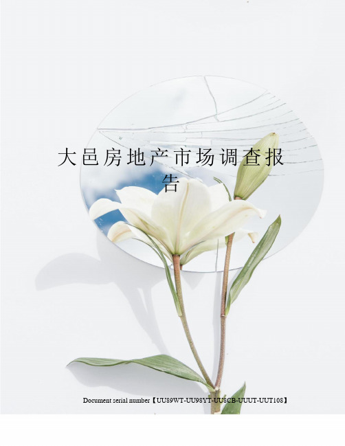 大邑房地产市场调查报告