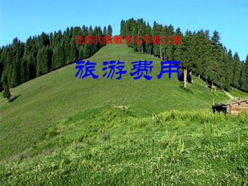 北师大版数学五年级上册《旅游费用》PPT课件之二2013