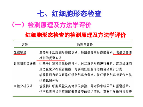 红细胞形态检查