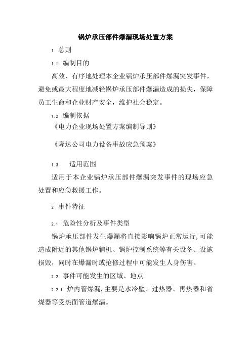 锅炉承压部件爆漏现场处置方案