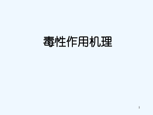 毒性作用机理PPT课件