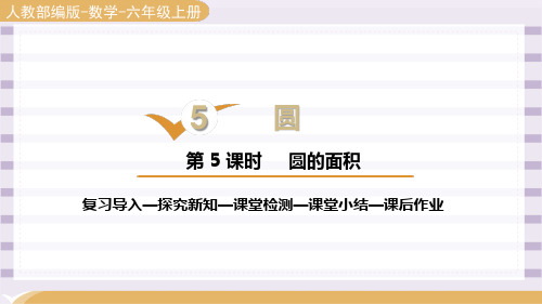 人教版六年级数学上册第五单元《圆的面积 》第五课时