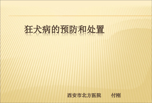 狂犬病的预防和处置(提要版本)