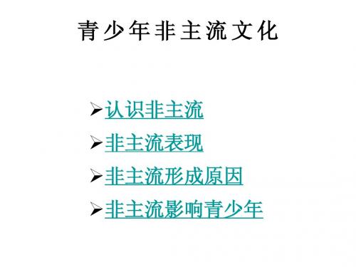 青少年非主流文化