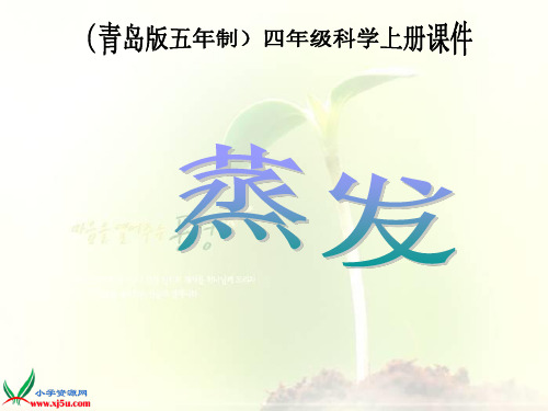 (青岛版)小学科学四上《 蒸发》PPT课件(同课异构) (2)
