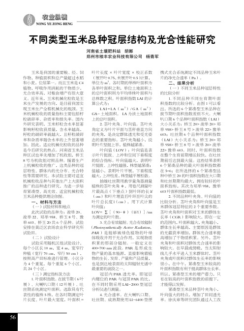 不同类型玉米品种冠层结构及光合性能研究