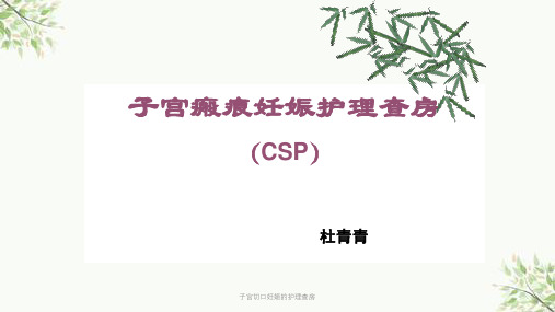 子宫切口妊娠的护理查房课件