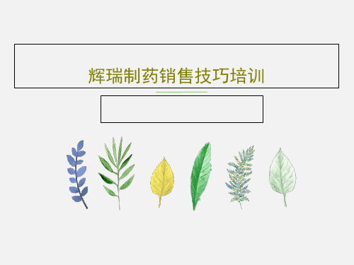 辉瑞制药销售技巧培训共97页
