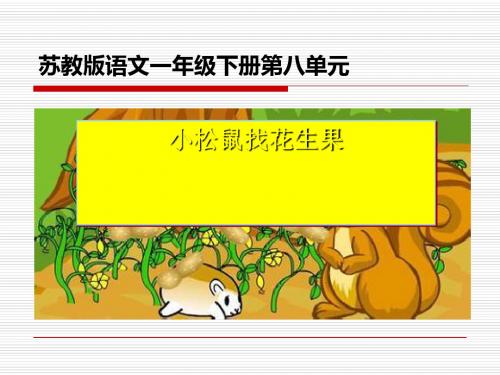 《小松鼠找花生果》PPT课件
