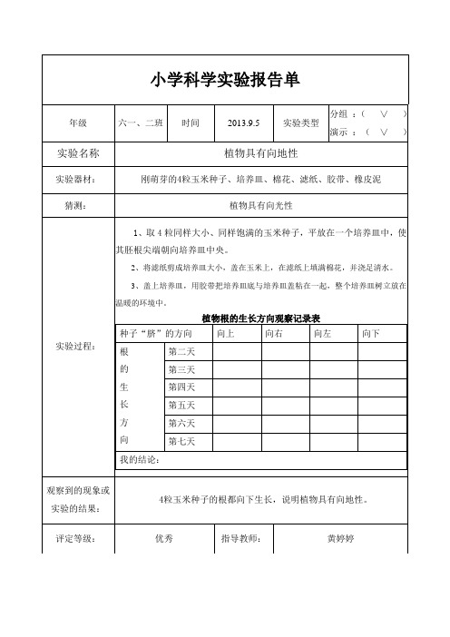 六上 科学 实验记录单