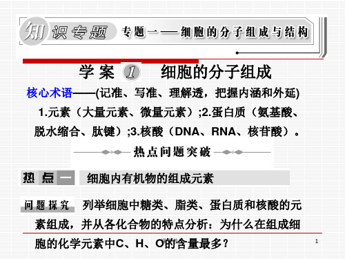 新课标高三生物二轮复习专题课件学案1《细胞的分子组成》(课时讲课)
