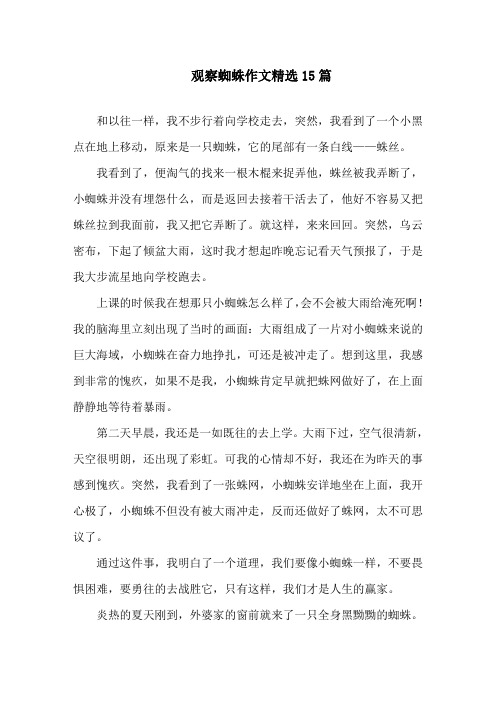 中小学观察蜘蛛作文精选15篇