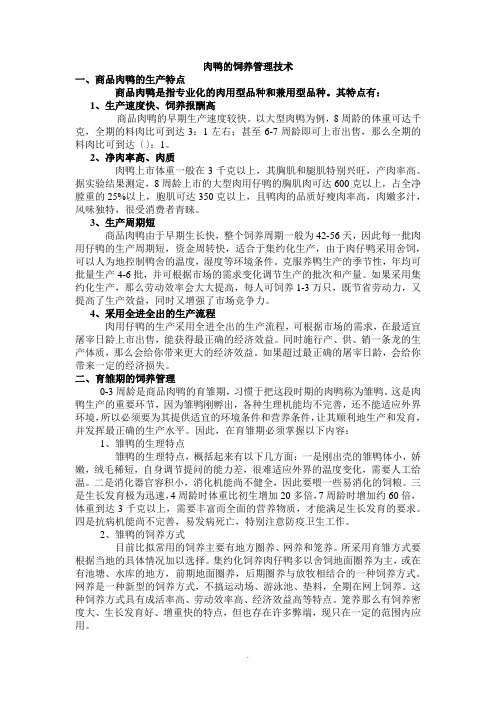 肉鸭的饲养管理技术 