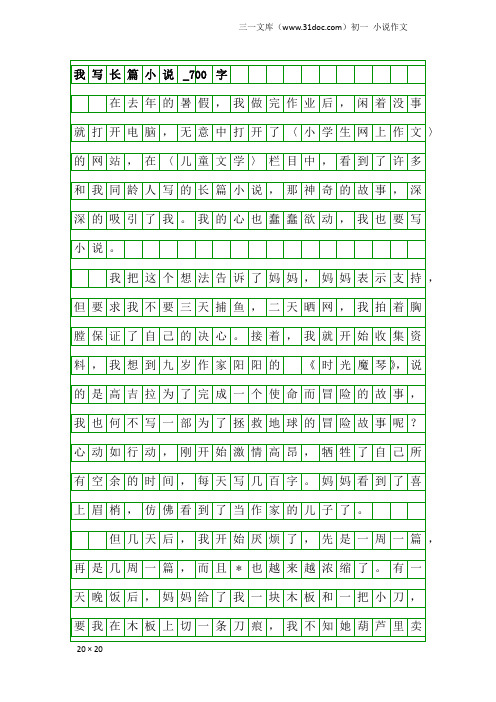 初一小说作文：我写长篇小说_700字