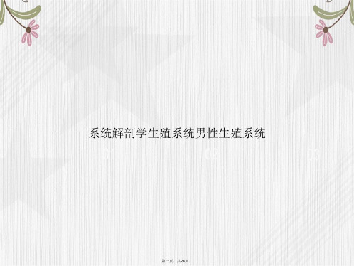 系统解剖学生殖系统男性生殖系统讲课文档