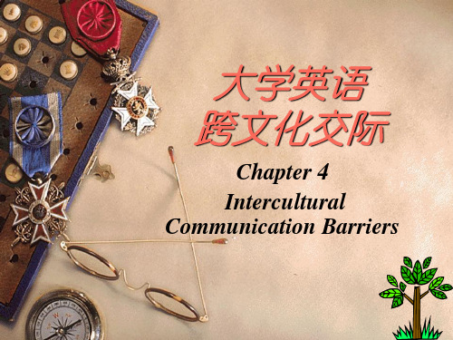 跨文化交际chapter4