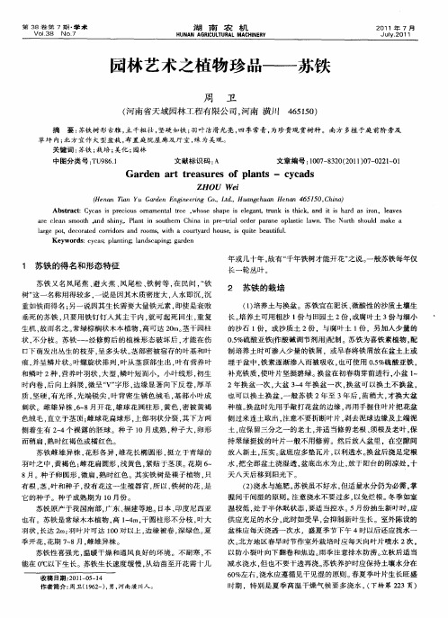 园林艺术之植物珍品——苏铁