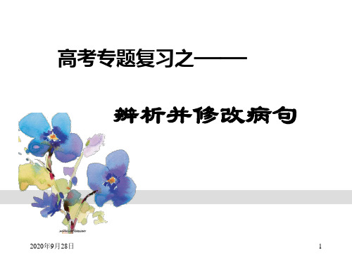 高考病句专题PPT课件